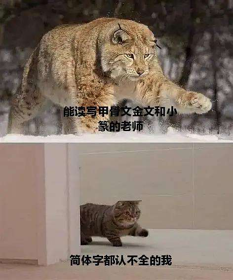 9cdb0171314d4392277e2ce0fd7fdb37.png